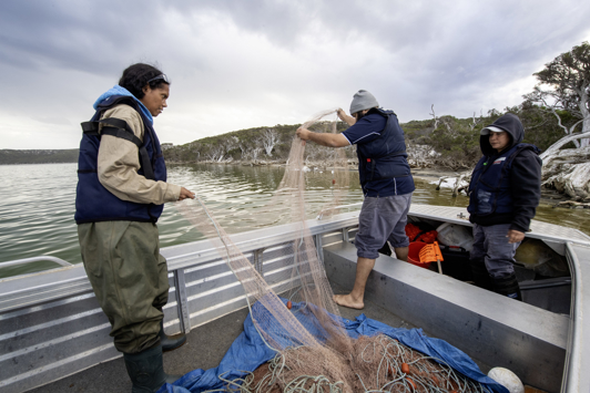 three people setting fishing nets