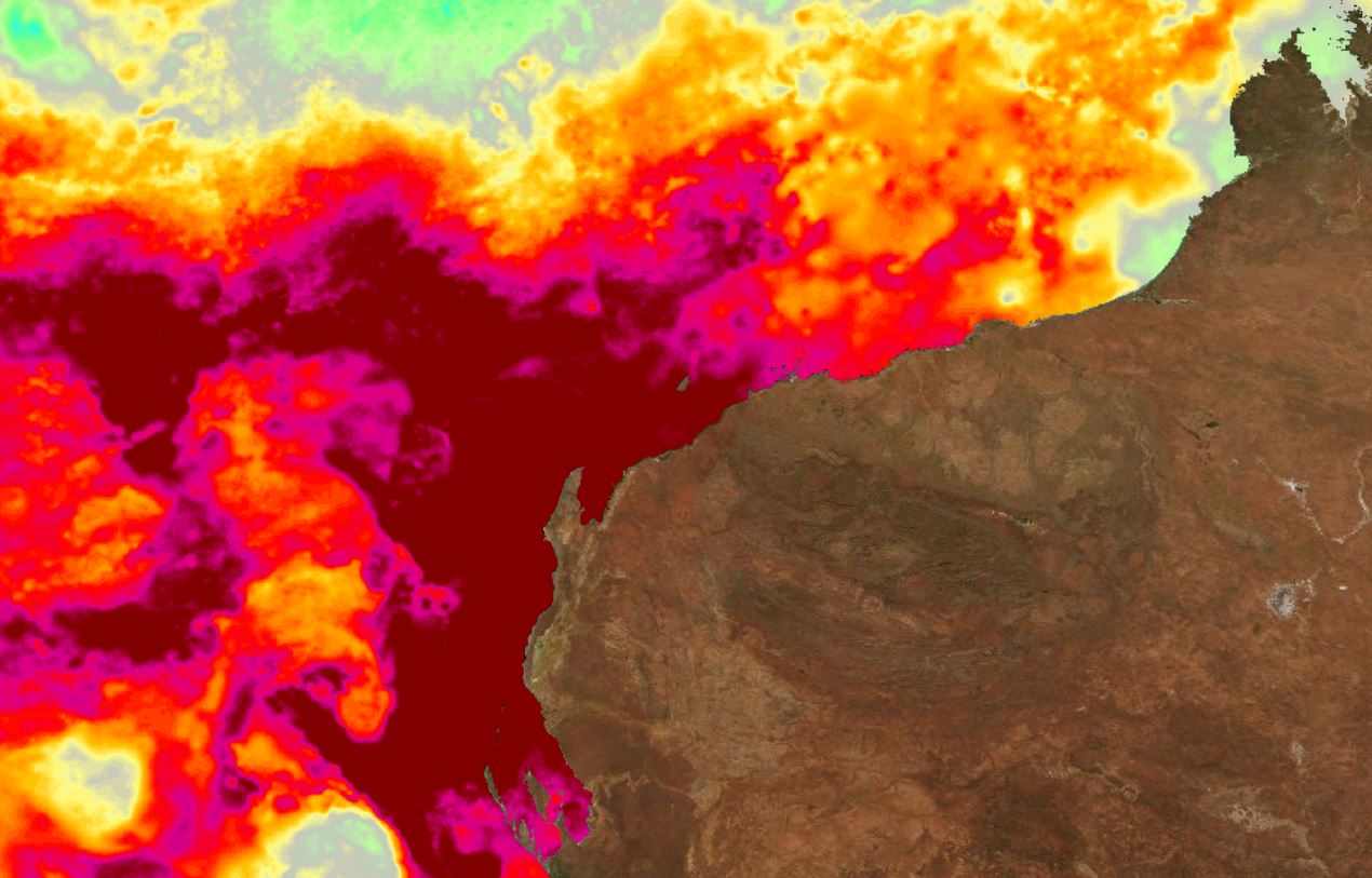 Marine heatwave map
